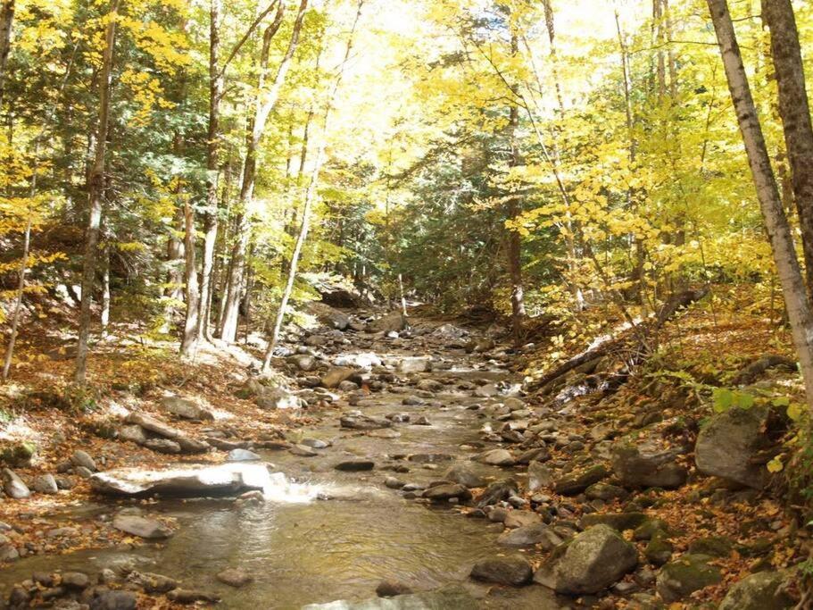 Вилла Cabin Sutton 252 - En Harmonie Avec La Nature! Экстерьер фото