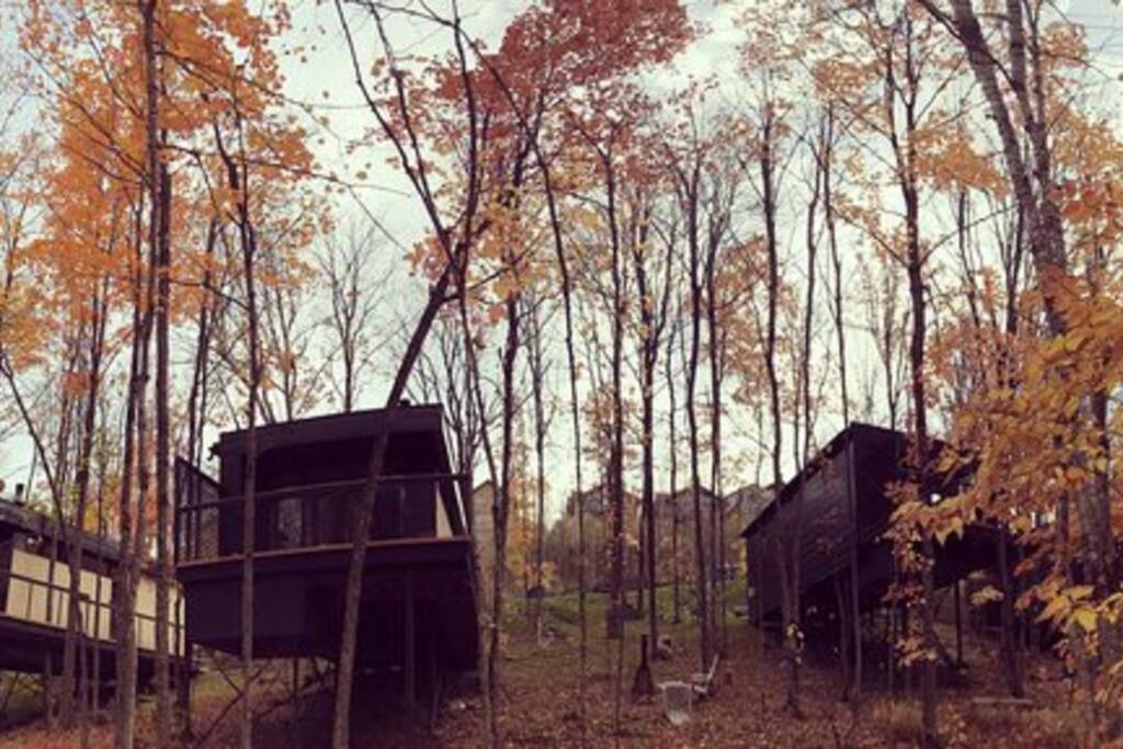 Вилла Cabin Sutton 252 - En Harmonie Avec La Nature! Экстерьер фото